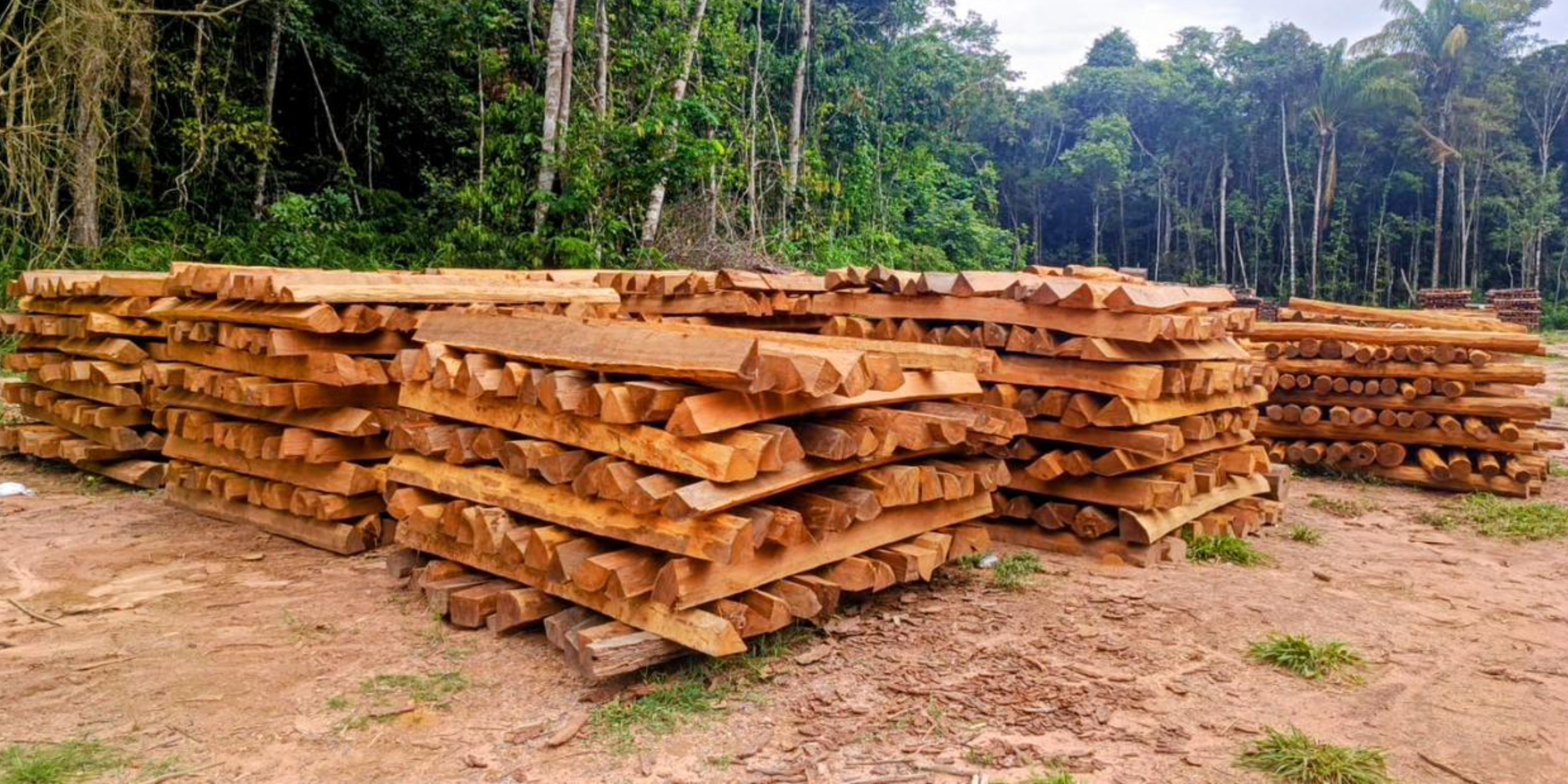 Leilão de madeiras em Vilhena: chance de adquirir mourões e lascas de Itaúba.