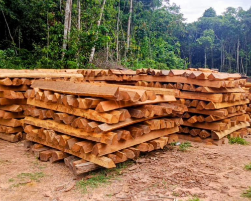 Leilão de madeiras em Vilhena: chance de adquirir mourões e lascas de Itaúba.