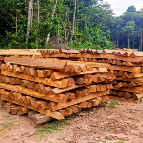 Leilão de madeiras em Vilhena: chance de adquirir mourões e lascas de Itaúba.