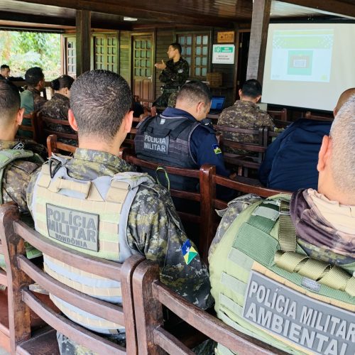 Rondônia em Ação: Lançada Operação ‘Protetor dos Biomas’ Contra o Desmatamento